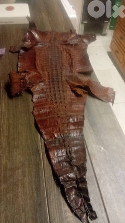 crocodile leather