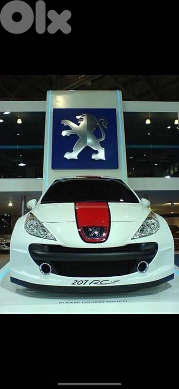 Peugeot 207 RC Le Mans sport ( serious buyers )