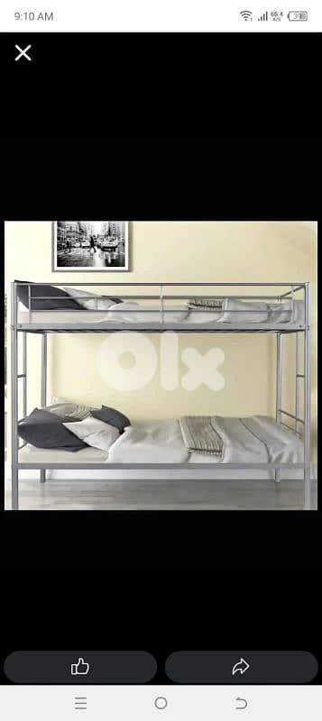 تخوتي اوروبي