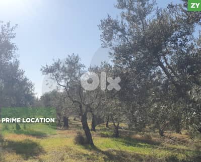 LAND/أرض /Nakhleh, Koura/ الكورة – النخلة/residential/ REF#ZY134480 !