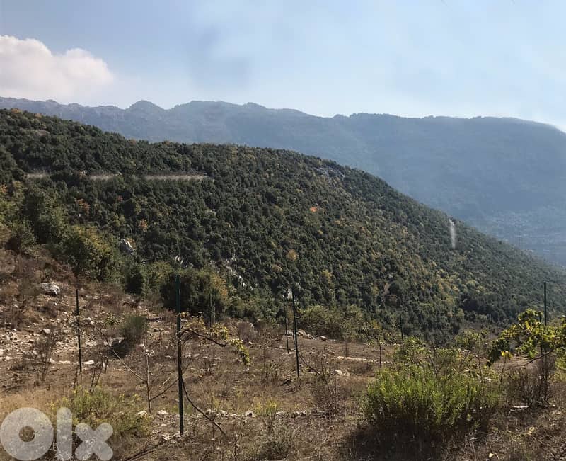 Prime Location/Ghineh/Investment 5