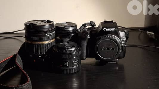 Canon 250d + tamron 17-50 f/2.8 + EF 50mm f/1.8 + other