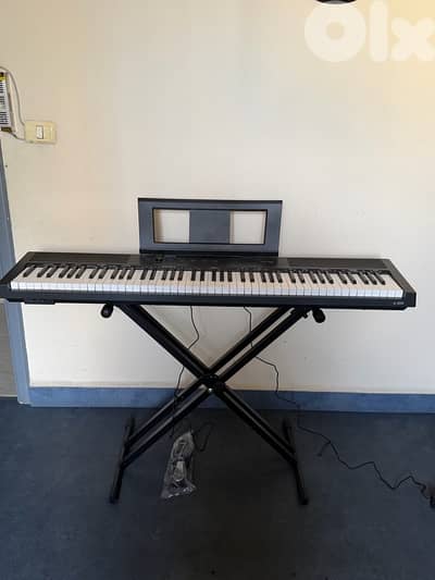 Electric pian  88 keys with stand double