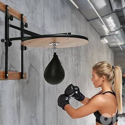 Boxing Speed Ball