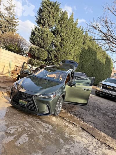 Lexus NX-Series 2022