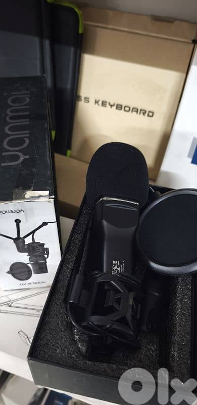 professional Microphone condenser