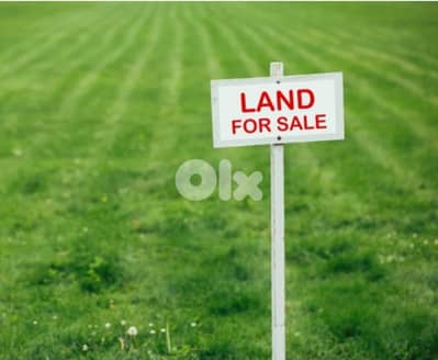 Land for Sale in Souk El Gharb.