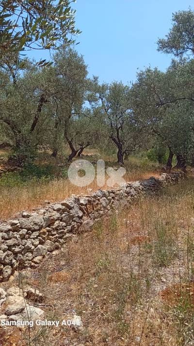 land for sale in deir el qamar أرض للبيع في دير القمر