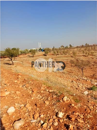 Land for sale in Zahle Ref#MK104 أرض للبيع في زحلة