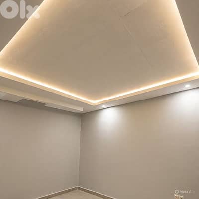 معلم دهان وديكورات وعزل نش