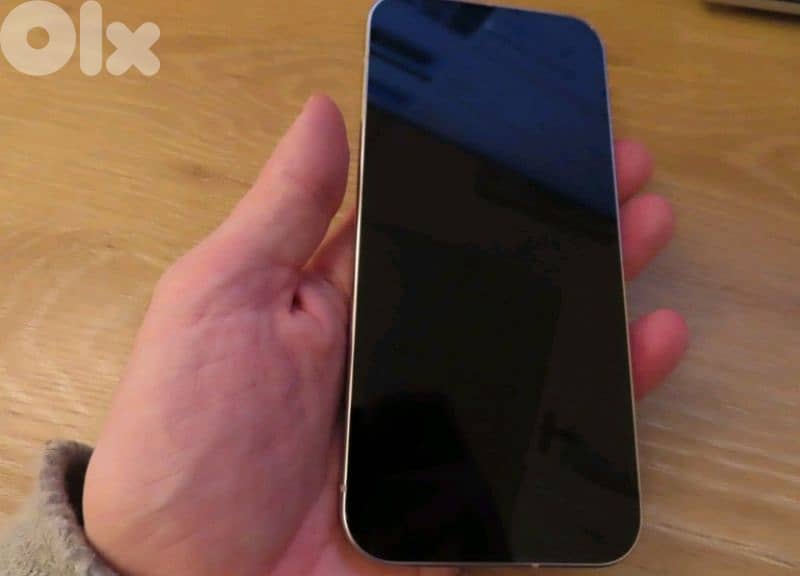 Google Pixel 9 Pro 1