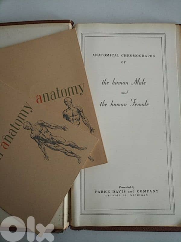 Very old book TransVisions of Anatomical Chromographs - Not Negotiable 1