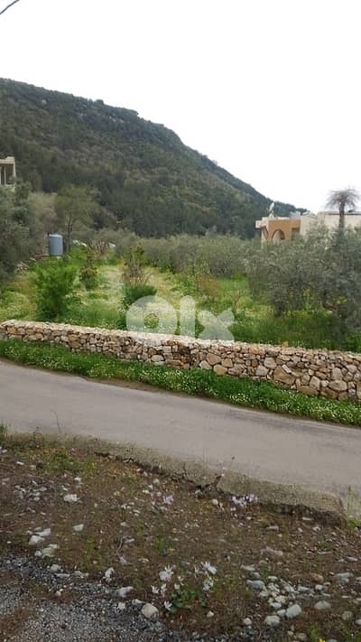 Flat land on main road for construction or agriculture