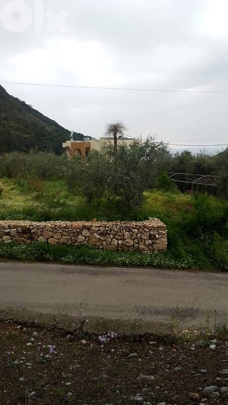 Flat land on Zebdin - Jbeil main road 1