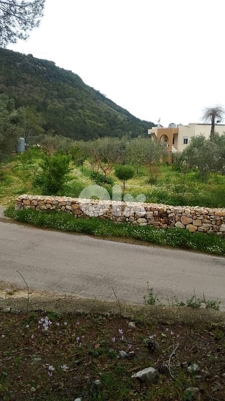 Flat land on Zebdin - Jbeil main road 2