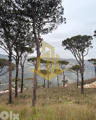 Land for sale in Deir El Harf أرض للبيع في دير، الحرف