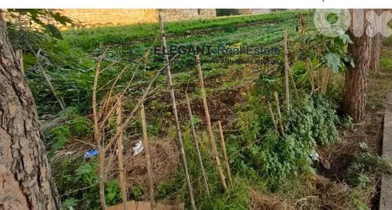 Land | Flat | Prime location