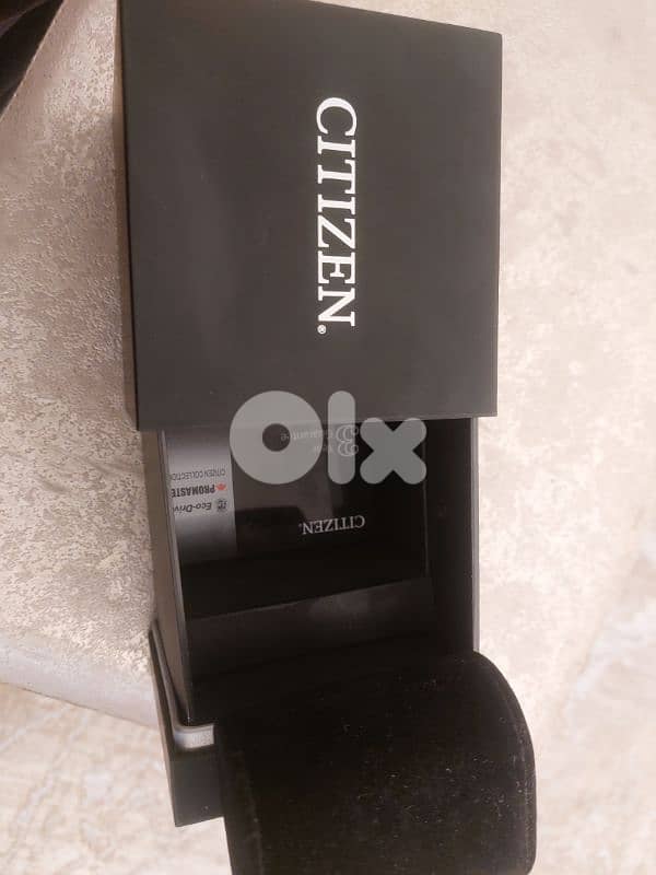 Book  citizen wotch 6