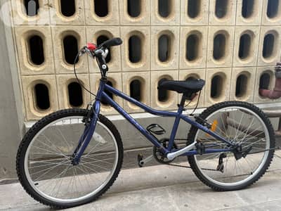 Jagger Mountain Bike - Excellent Condition