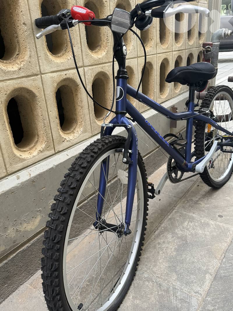 Jagger Mountain Bike - Excellent Condition 1