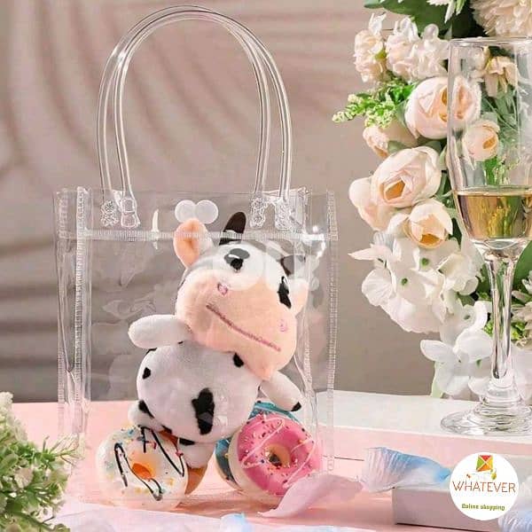 Clear Gift Bags with Handles 3