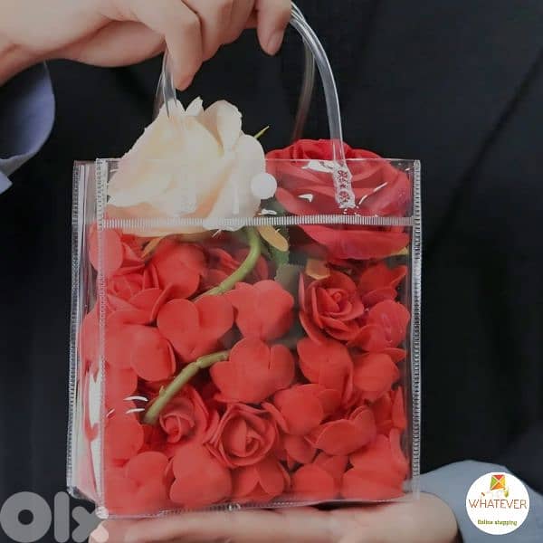 Clear Gift Bags with Handles 5