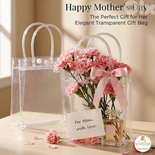 Clear Gift Bags with Handles 6