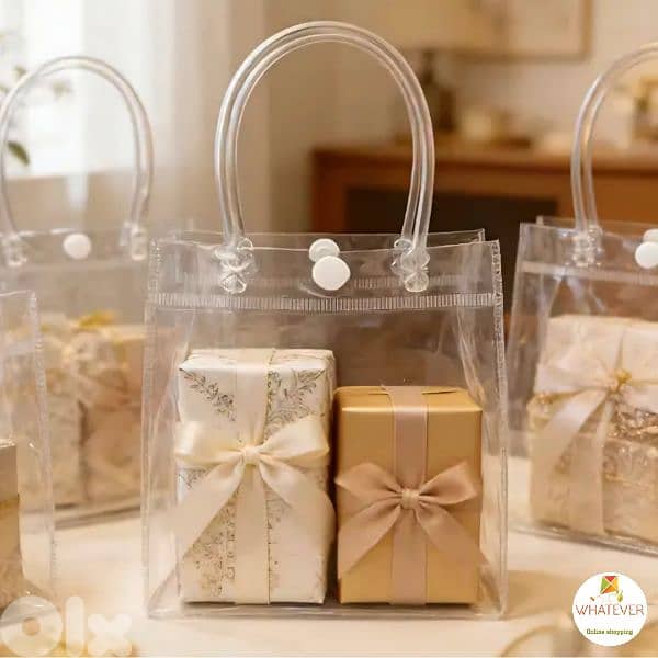 Clear Gift Bags with Handles 9