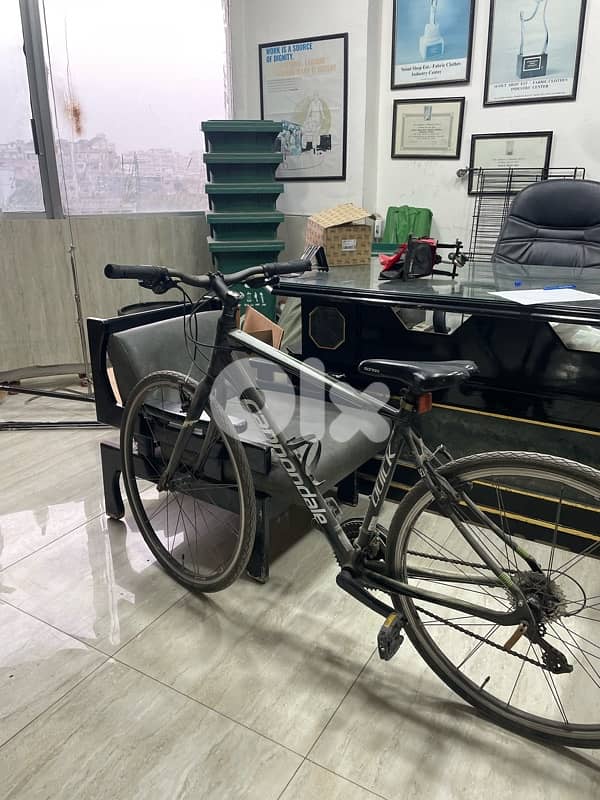 bicycles for sale dm for price 2