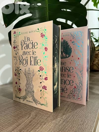 Married To Magic books 1&2