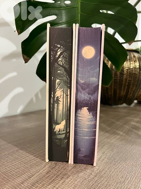 Married To Magic books 1&2 2