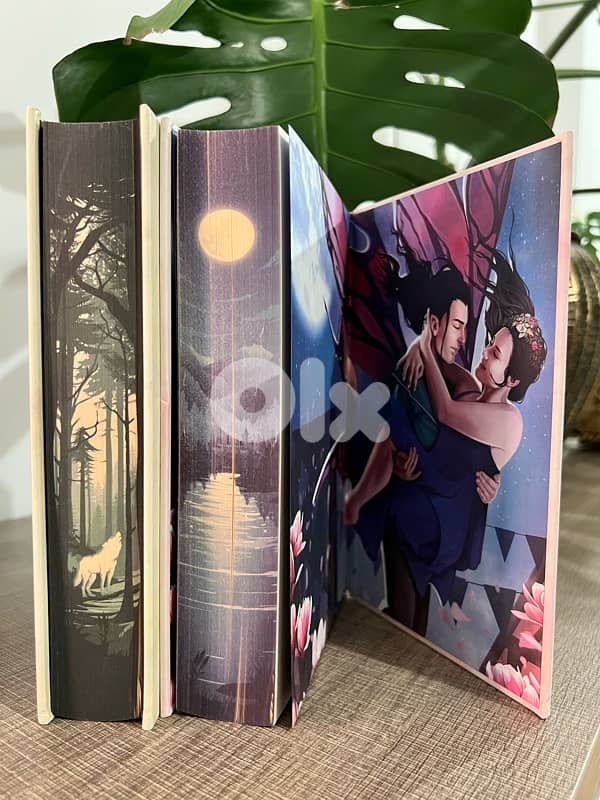 Married To Magic books 1&2 4