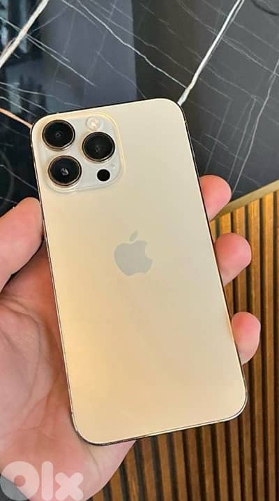 13 pro gold 256gb