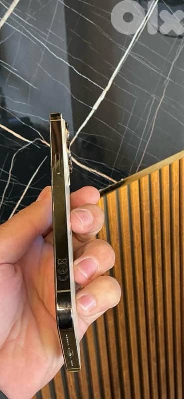 13 pro gold 256gb 2