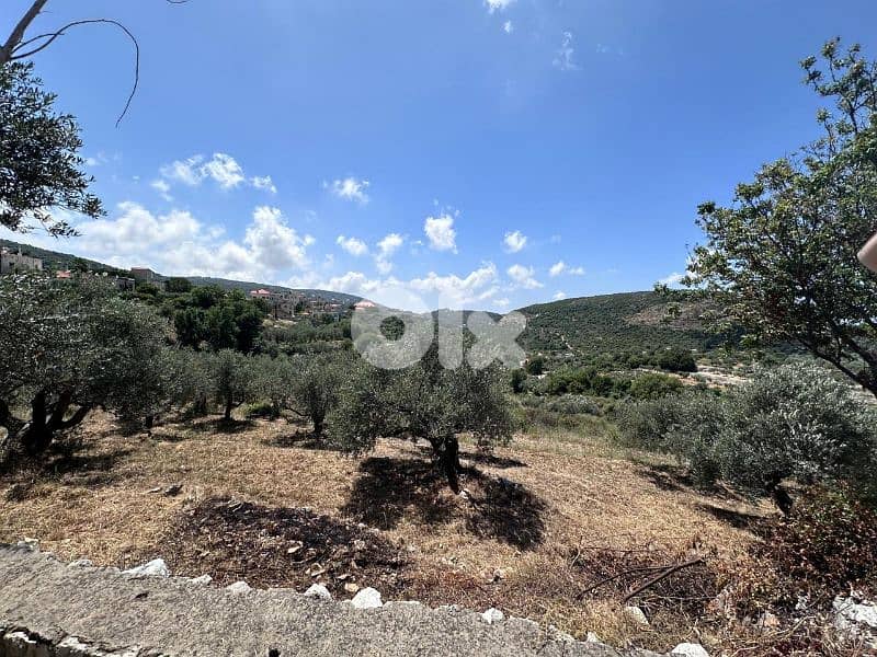 Land in Chabtine 1