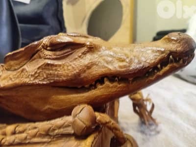 حقيبة جلد تمساح حقيقي، 100%