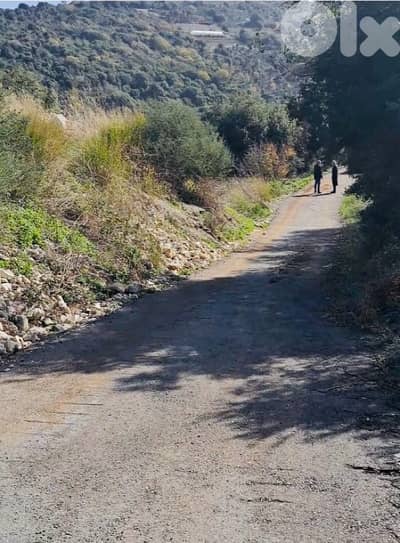 For Sale – 2 Lands in Toula, Batroun