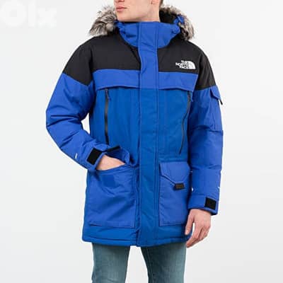 the north face McMurdo 2 parka down jacket