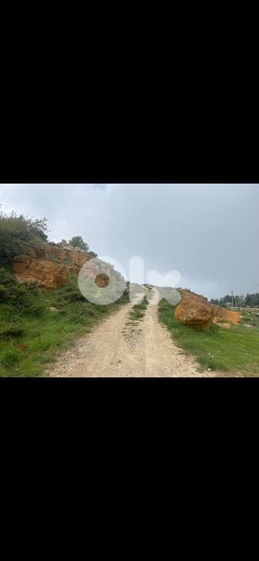 Tanourine Fawqa land with Great view 3
