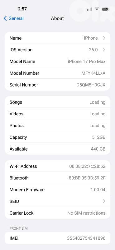 17 pro max copy ios 2