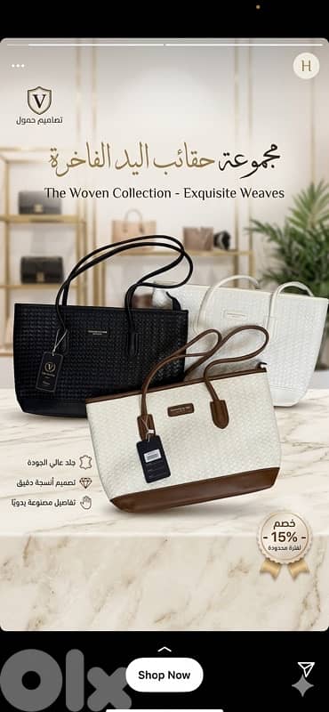luxury bags 6