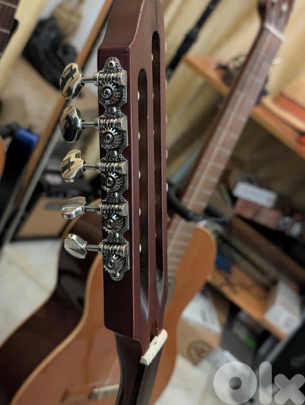 Godin mutlioud ambiance 1