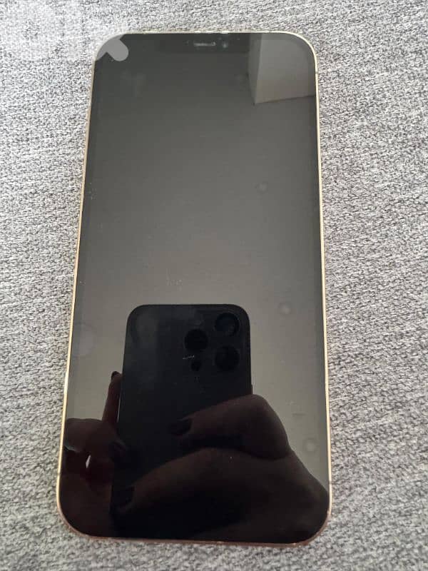 Iphone 12 pro max 128 6