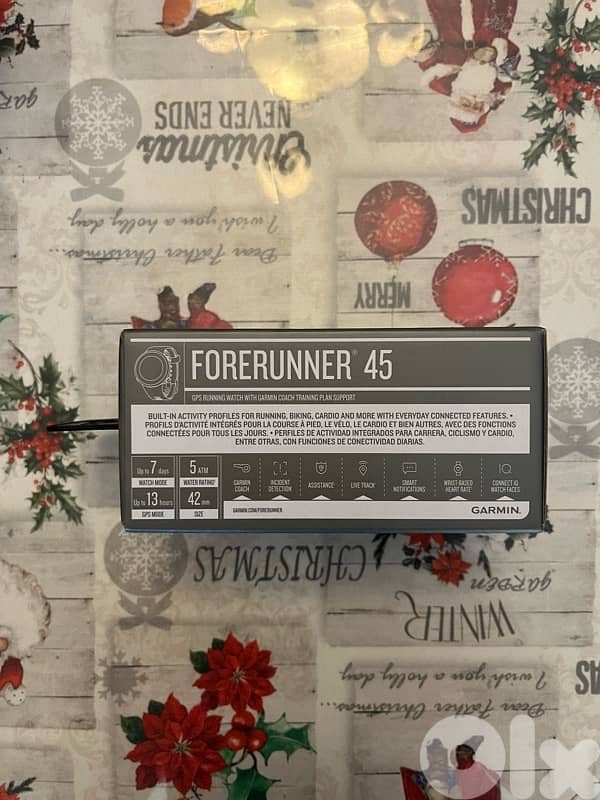 Garmin Forerunner 45 1