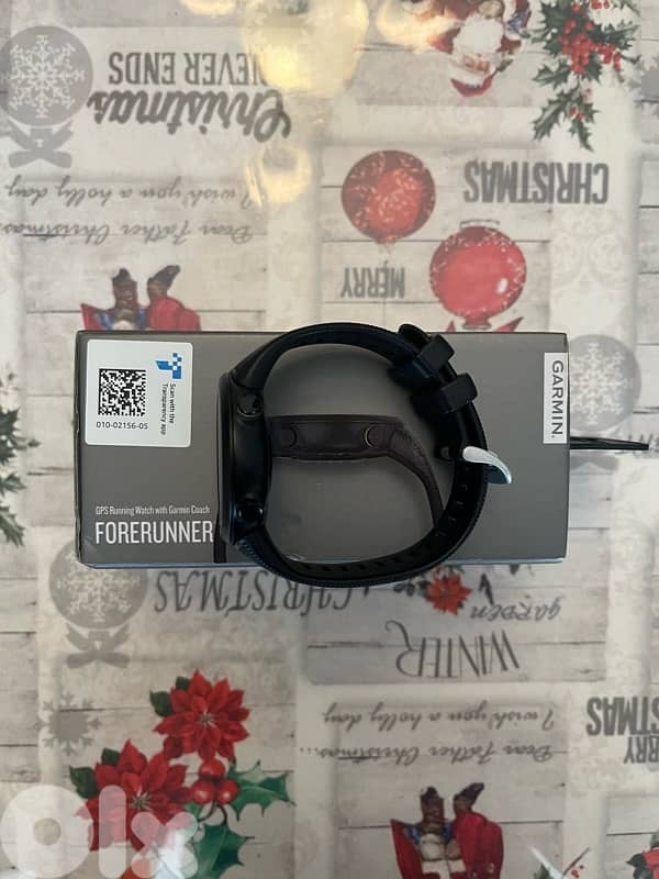 Garmin Forerunner 45 2