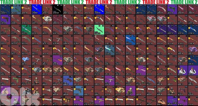 Instant Skin Trade Offer!  340,000 1