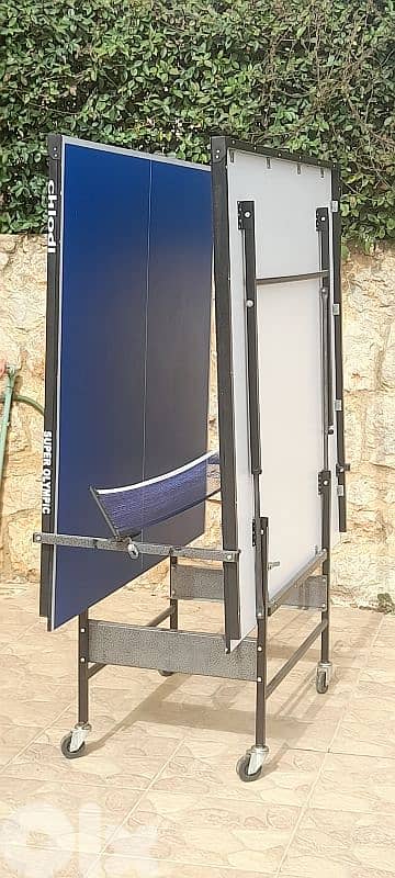 ping pong table + net