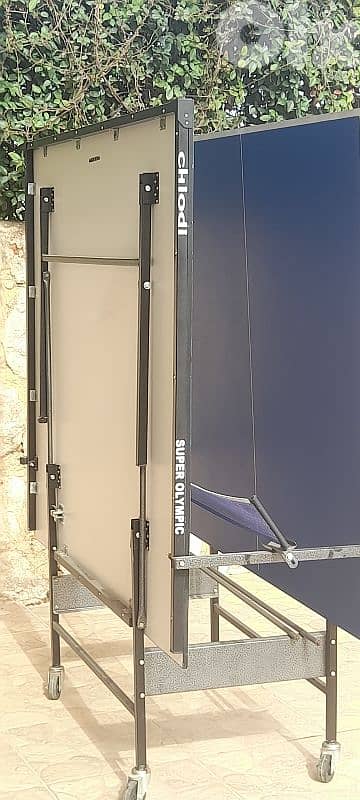 ping pong table + net 1