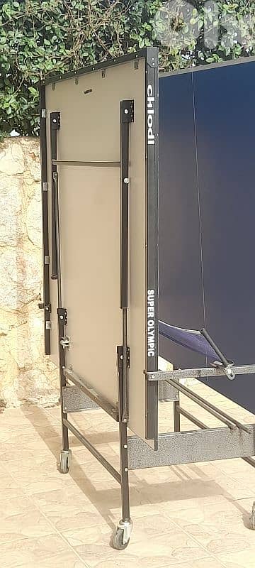 ping pong table + net 2