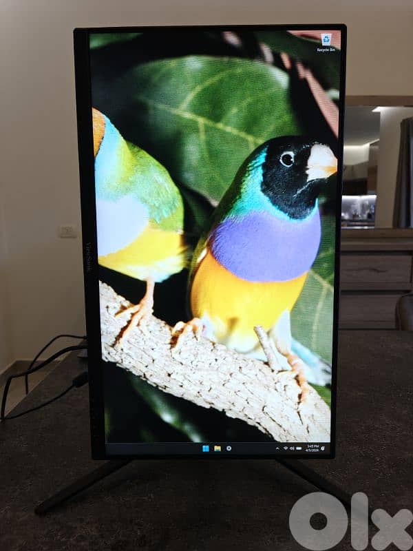 ViewSonic 180Hz Gaming Monitor 1